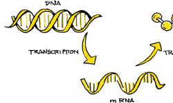Featured image of post TWAS